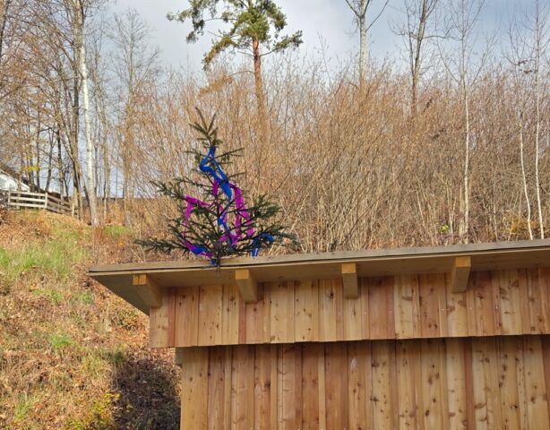 251122GaragenSanierung11